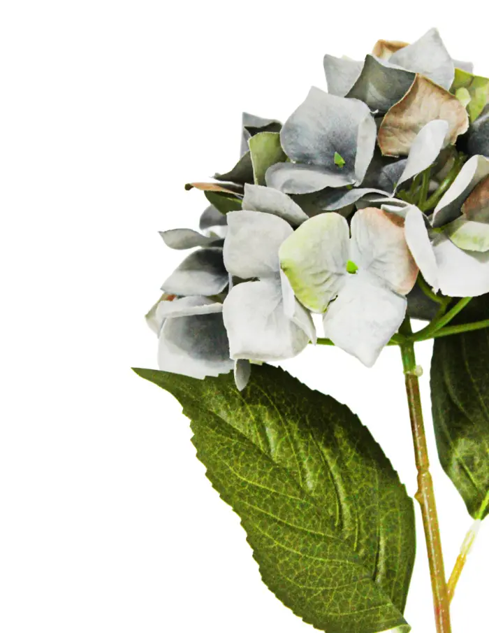 Vara de flor hortensia - Image 2