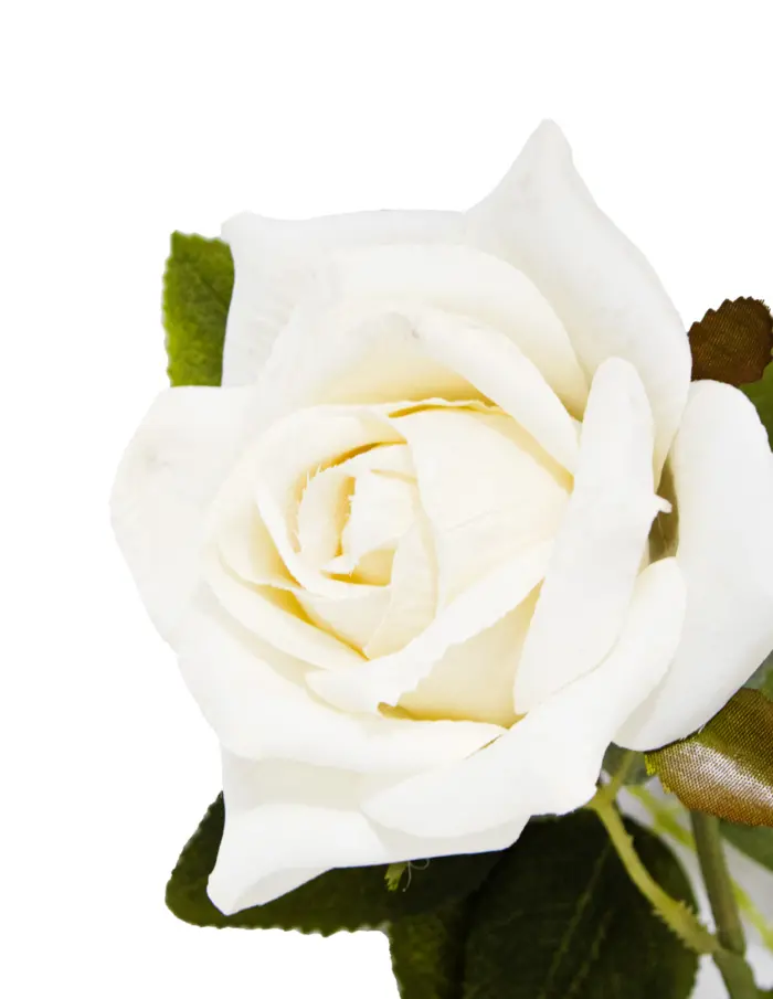 Vara con 2 rosas - Image 2