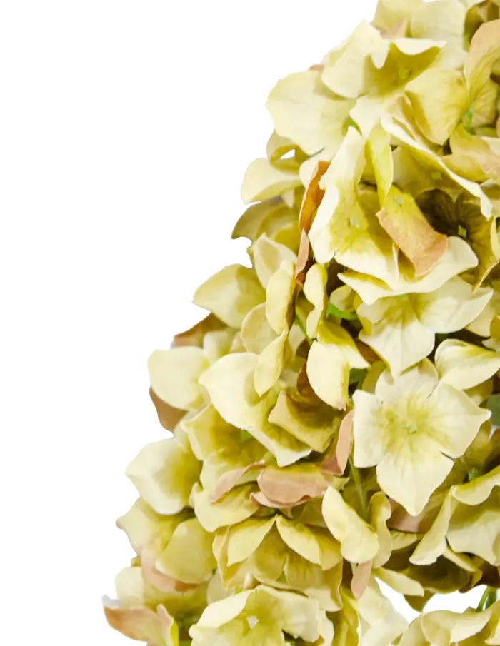 Vara con flor - Image 2