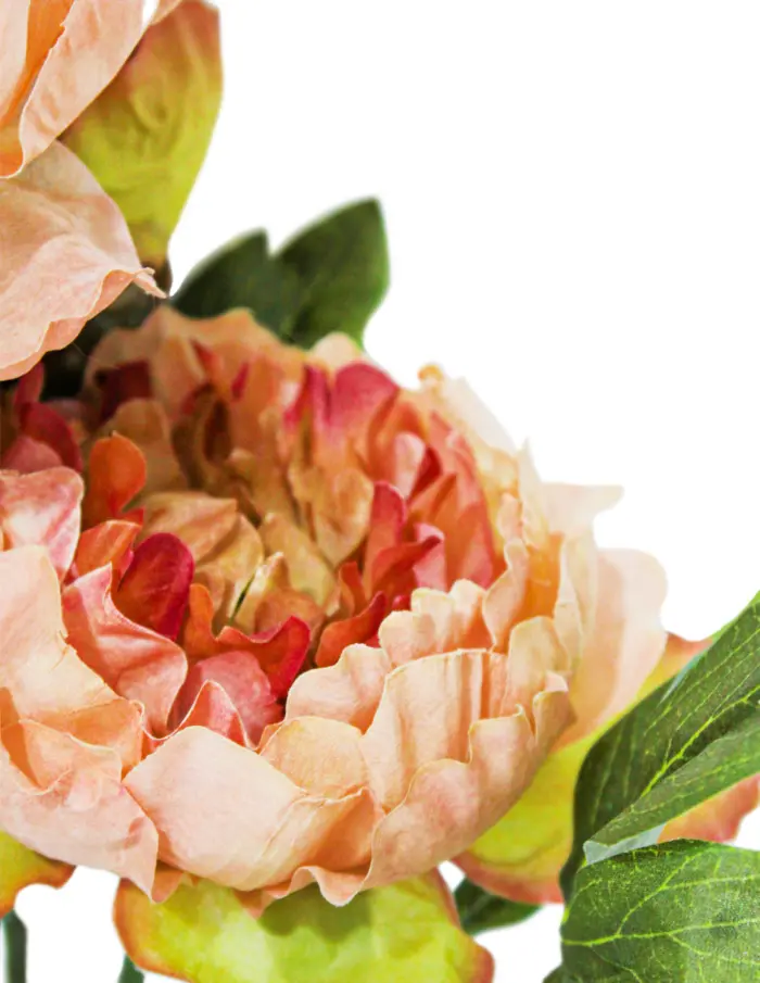Ramo de flor de peonia artificial cafe  - Image 2
