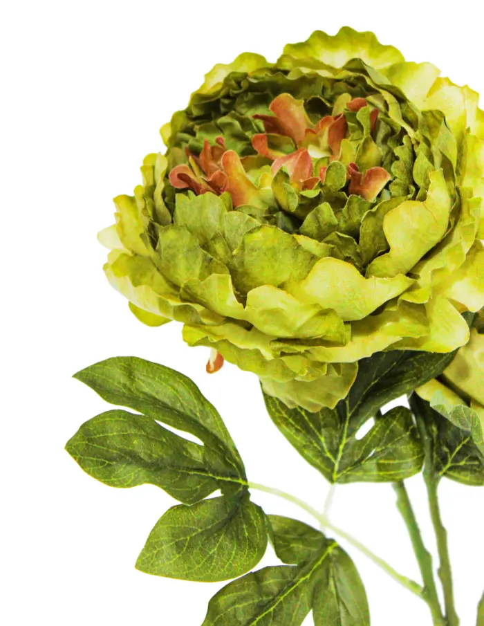 Ramo de flor de peonia artificial verde  - Image 2