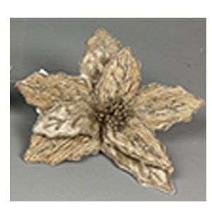022032779104-galerias el triunfo