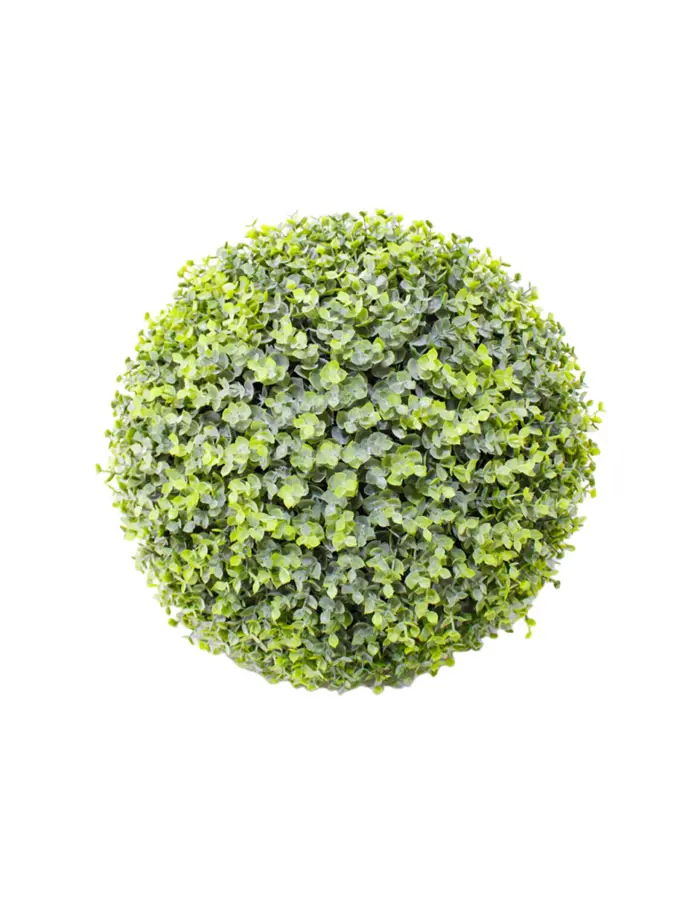 Esfera  de eucalipto - Image 2