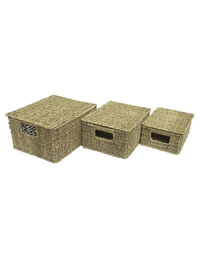 Juego de 3 cestas con tapa tejidas natural de 36x28x18/32x24x15/28x20x12cm - Image 2
