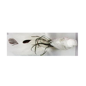 049072555021-galerias el triunfo