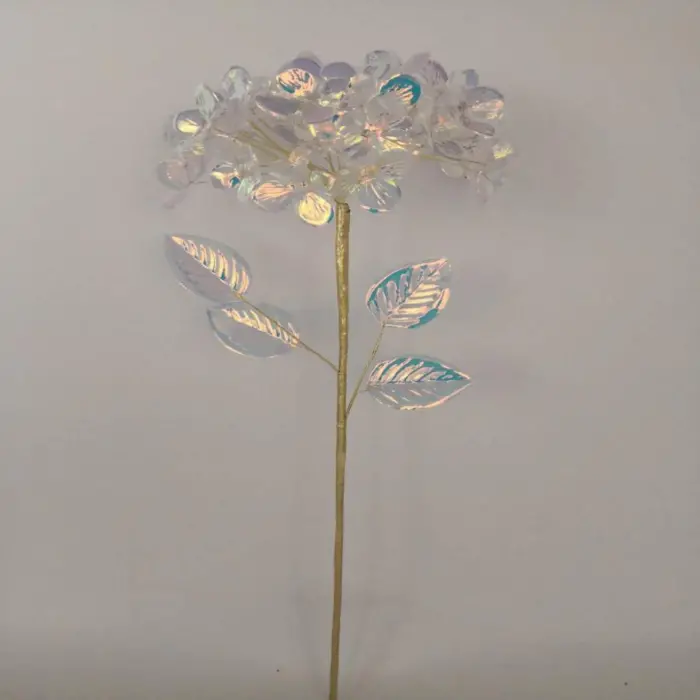 049072641185-galerias el triunfo