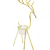 049072778436-galerias el triunfo