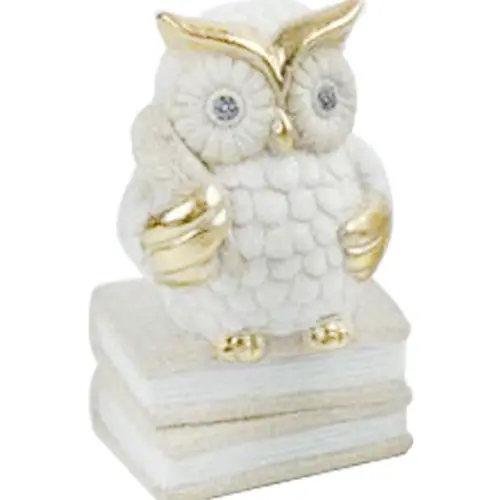 049072778482-galerias el triunfo