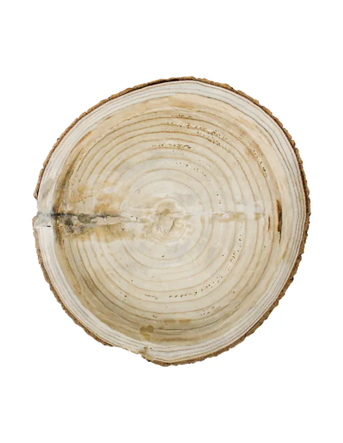 Charola redonda de madera diseño tronco de 35x35x5cm - Image 3