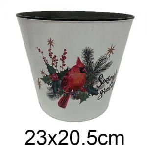 074072300839-galerias el triunfo