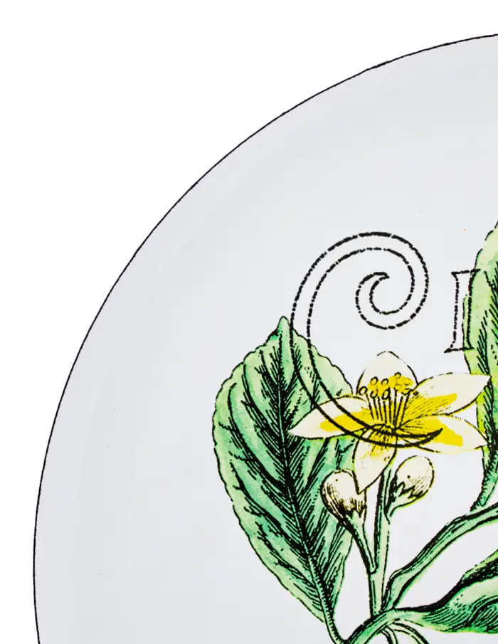 Plato de peltre blanco estampado limones de 25x25cm - Image 3