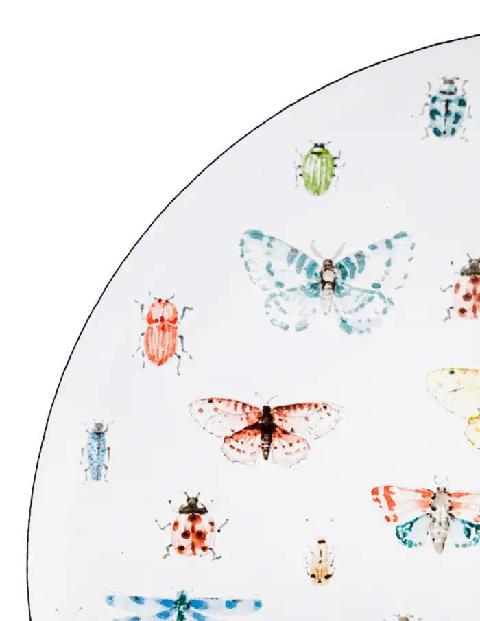 Plato de peltre blanco diseño insectos de 25x25cm - Image 3