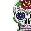 Juego de 4 portavasos diseño Calaveras de colores de 9x12.5cm - Image 2