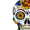 Juego de 4 portavasos diseño Calaveras de colores de 9x12.5cm - Image 4