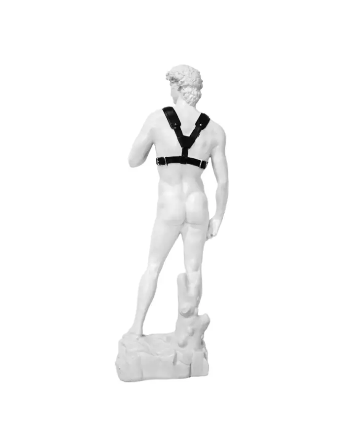 Escultura de David de resina de 23x16x57cm - Image 3