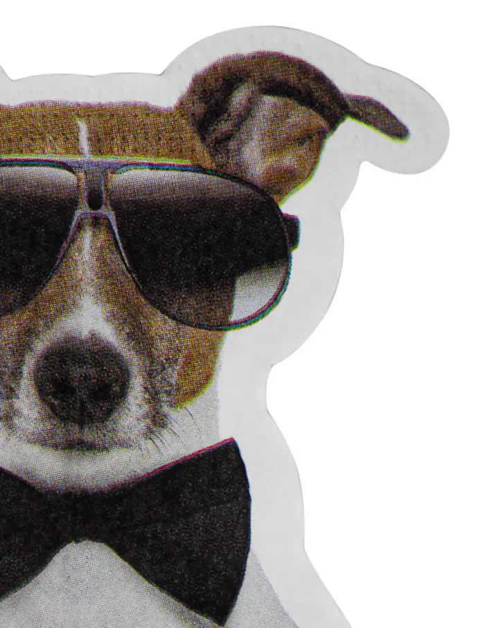Paquete de servilletas con 12 piezas diseño perros de 25.6x31.5x0.1cm - Image 2