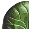 Plato de cristal diseño hoja de loto de 21cm - Image 3