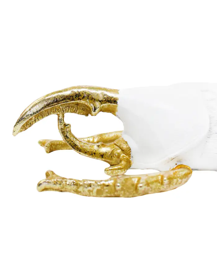 Escarabajo de polireisna blanco con dorado de 25x14.5x15.5cm - Image 2