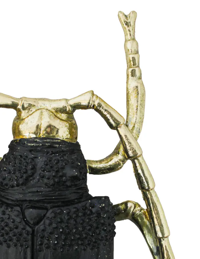 Escarabajo de poliresina negro con dorado de 24.5x17x4cm - Image 3