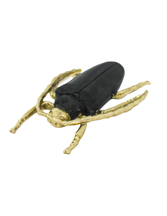 Escarabajo de poliresina negro con dorado de 24.5x17x4cm - Image 4