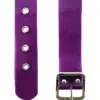 Cinturón transparente morado de 4x108x0.1cm - Image 2