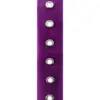 Cinturón transparente morado de 4x108x0.1cm - Image 3