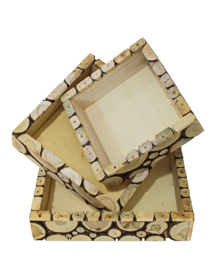 303001736254-galerias el triunfo