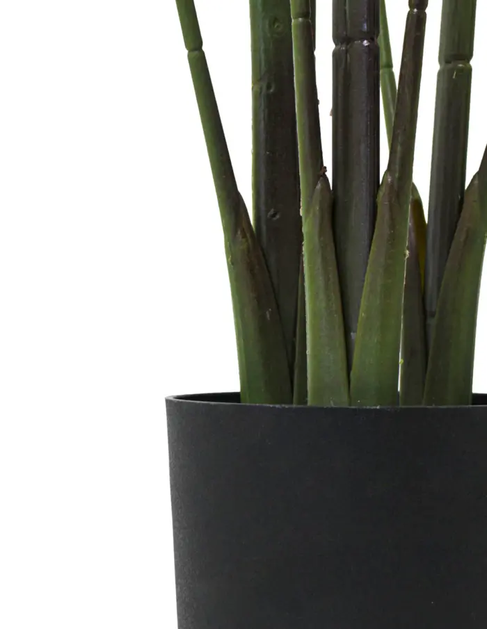 Planta artificial de hojas gaspeadas con maceta de 15x15x145cm - Image 3