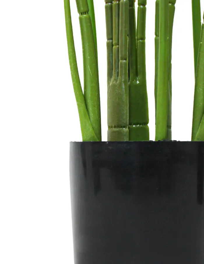 Planta artificial de hojas gaspeadas con maceta 15x15x140cm - Image 3