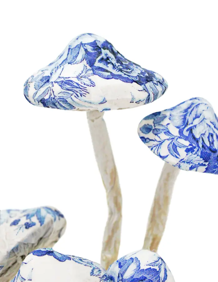 Hongos forrados de papel con flores azul con blanco - Image 3