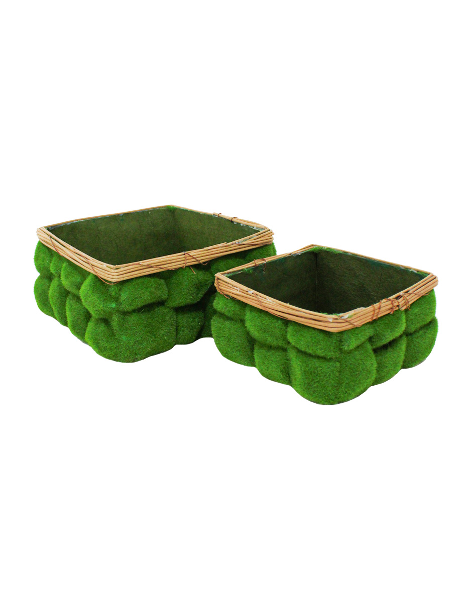 049071658087-galerias el triunfo