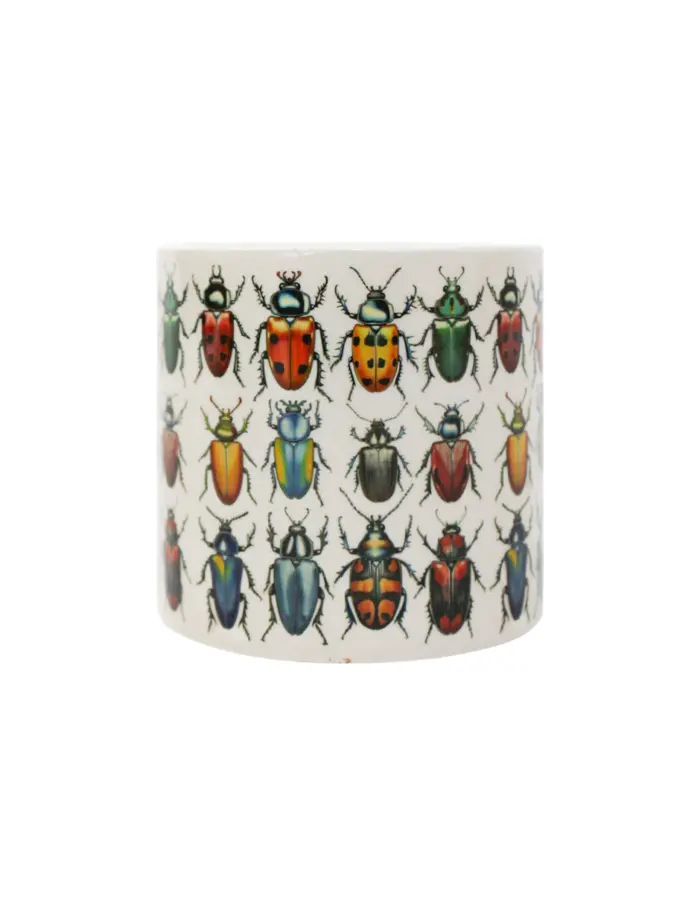 Maceta de ceramica beige con escarabajos de 7x7cm - Image 2