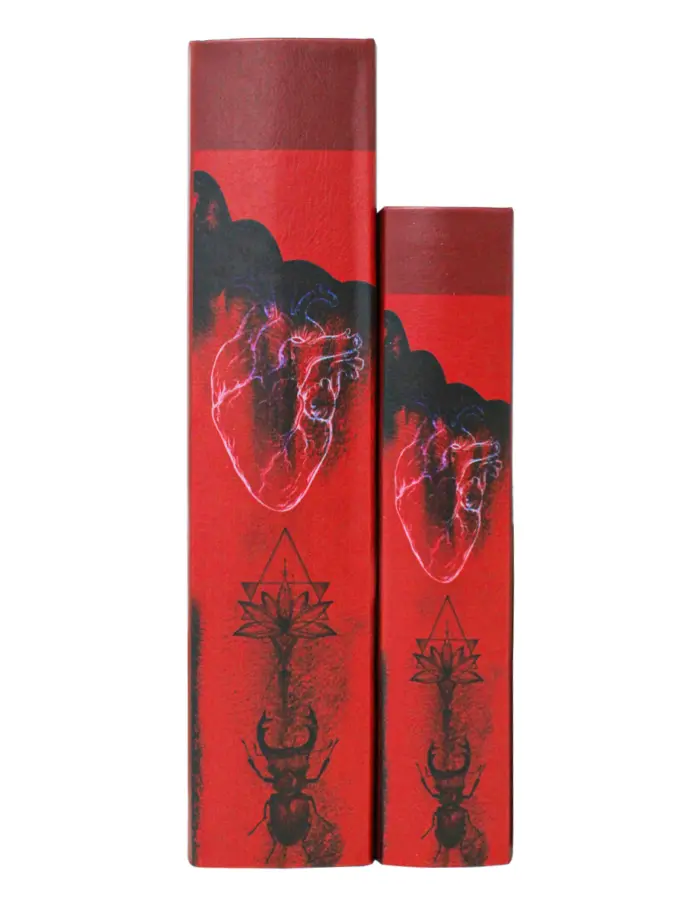 Juego de portalibros diseño rojo con puño de 30x21x7cm - Image 2