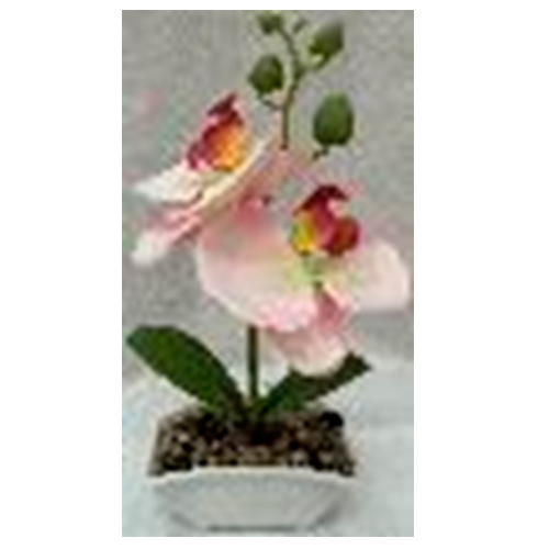 304001736087-galerias el triunfo