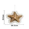 Estrella de mar de 26.5x26.5x5.5cm - Image 4