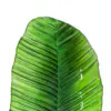Plato de melamina diseño hoja larga verde de 19x48x3cm - Image 3