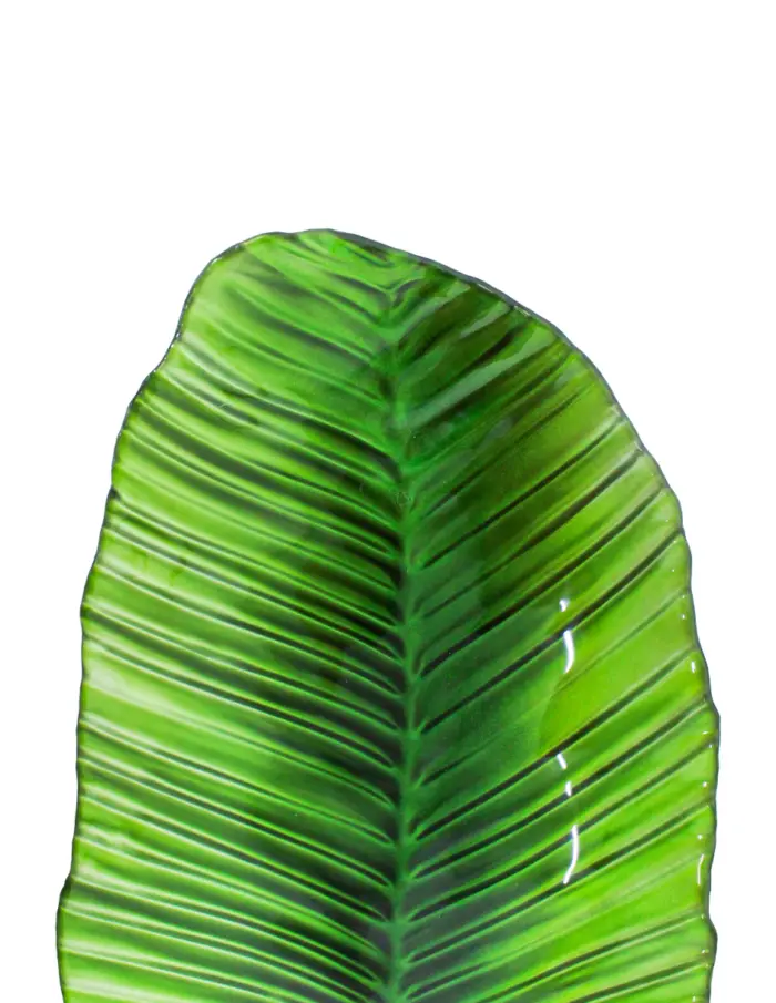 Plato de melamina diseño hoja larga verde de 19x48x3cm - Image 3