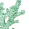 Coral verde en base de 14x13x18cm - Image 4