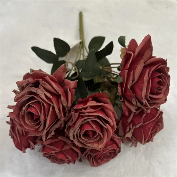 303001736861-galerias el triunfo