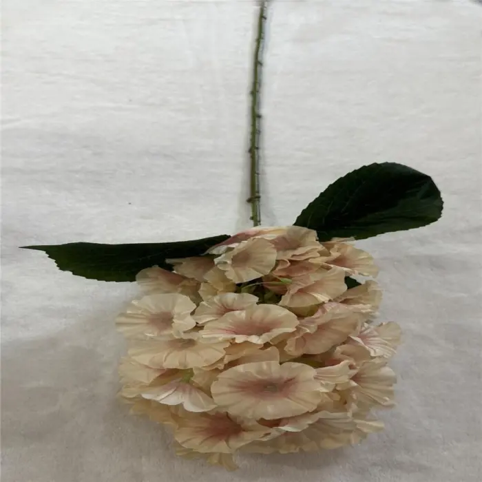 303001736882-galerias el triunfo