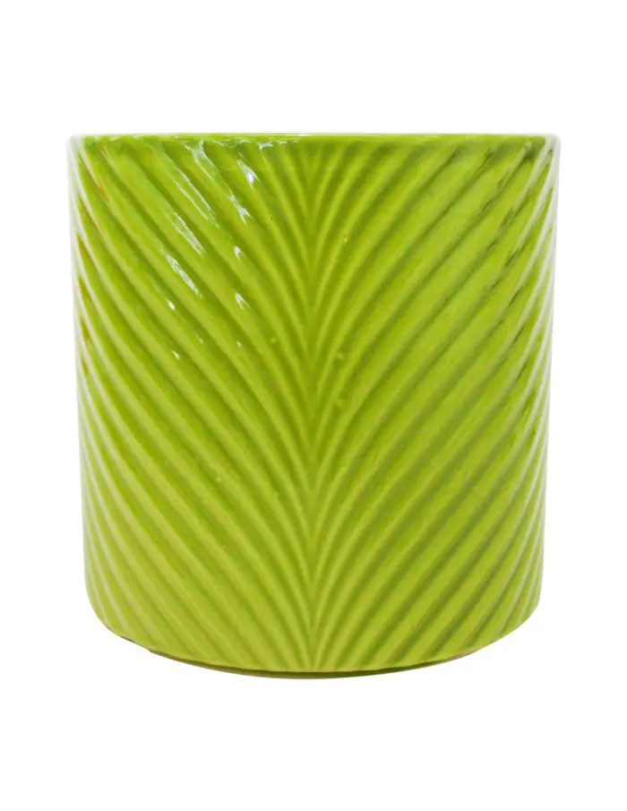 072072851003-galerias el triunfo