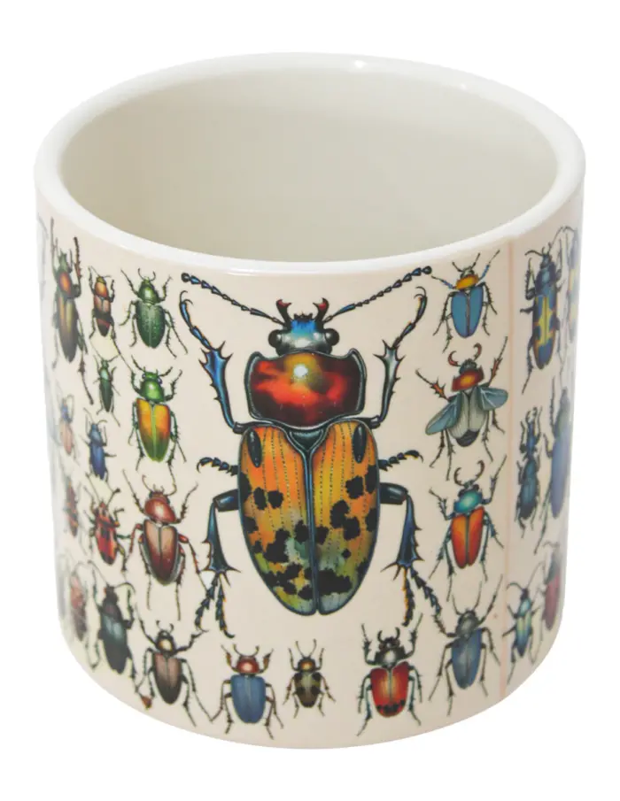Maceta de ceramica beige con escarabajos de 13x11.1cm - Image 3