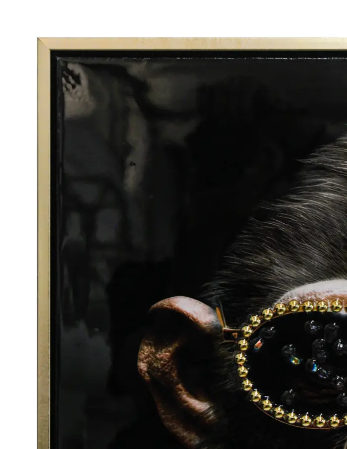 Cuadro con chimpancé con lentes de 52.5x72.5x2.8cm - Image 3