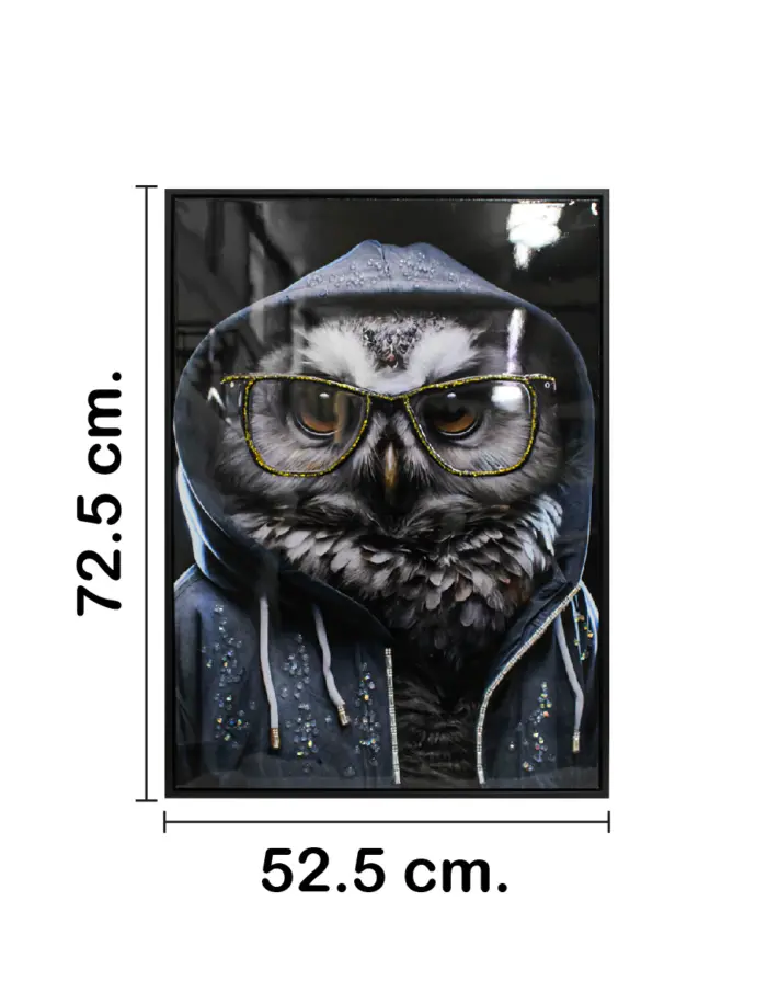 Cuadro con búho y lentes de 52.5x72.5x2.8cm - Image 2