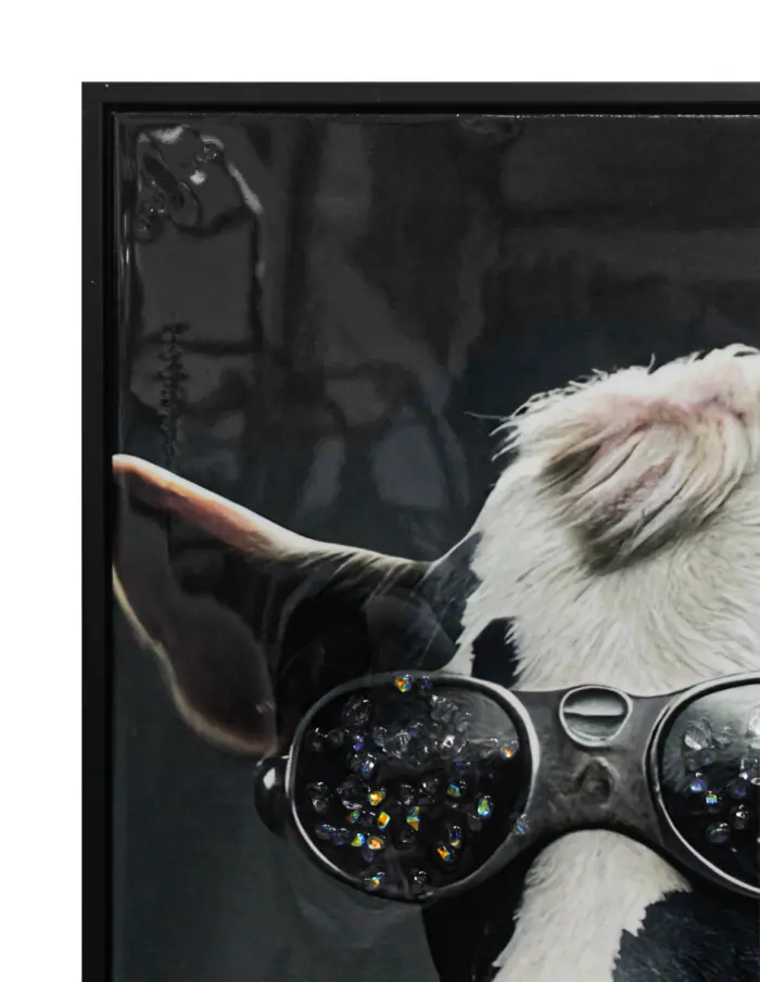 Cuadro con vaca y lentes de 52.5x72.5x2.8cm - Image 3