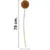 Vara de flor artificial de plástico cafe de 12x78x0.1cm - Image 2