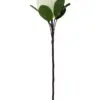 303001736926-galerias el triunfo