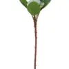 303001736936-galerias el triunfo