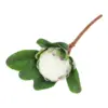 Vara de flor artificial de alcachofa blanca de 7.5x50x0.1cm - Image 4