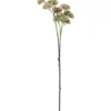 303001736959-galerias el triunfo